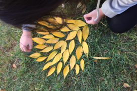Goldsworthy